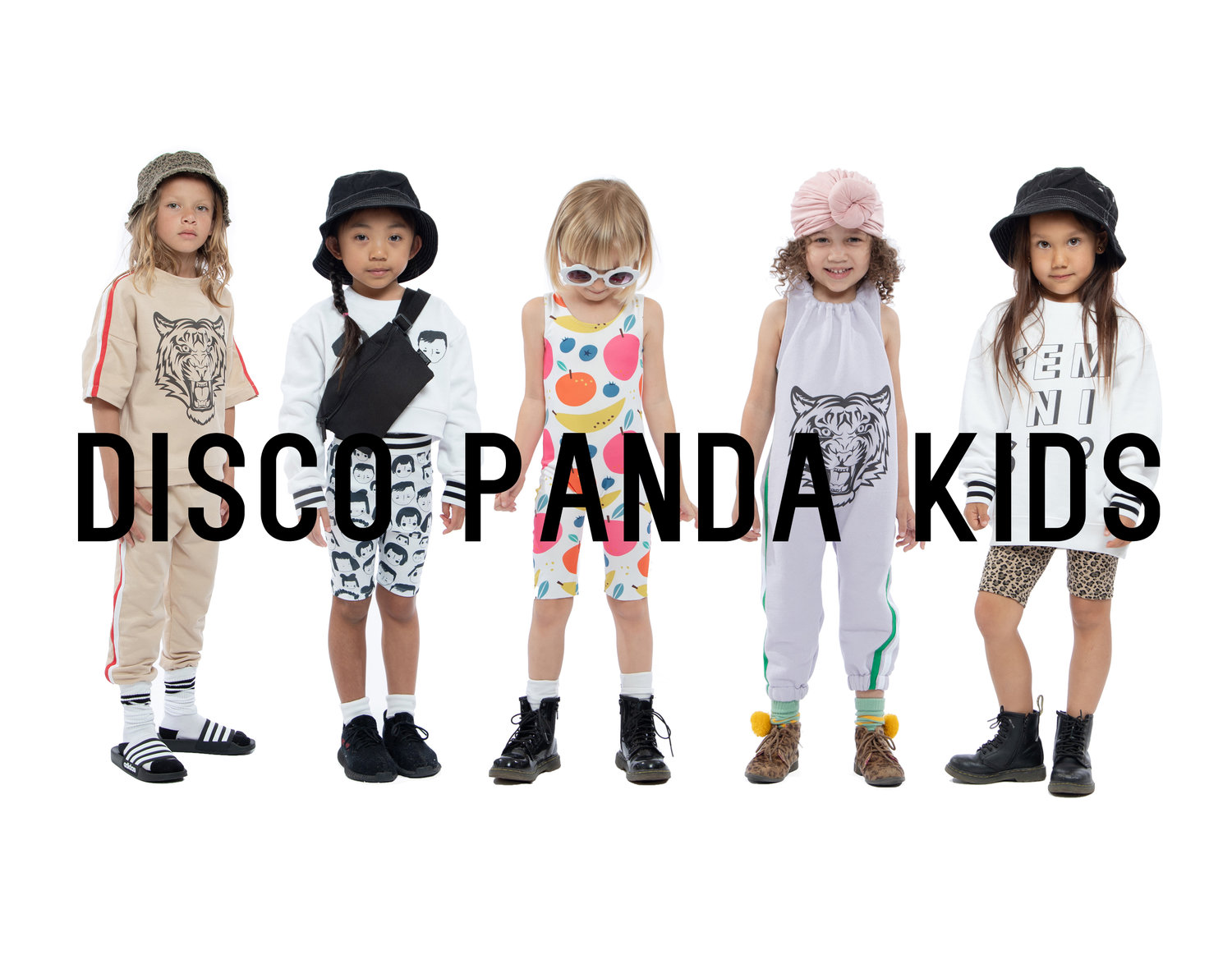 disco panda
